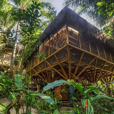 Universo Pol Bamboo Hostel モロ・デ・サンパウロ エクステリア 写真