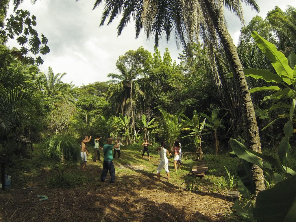 Universo Pol Bamboo Hostel モロ・デ・サンパウロ エクステリア 写真