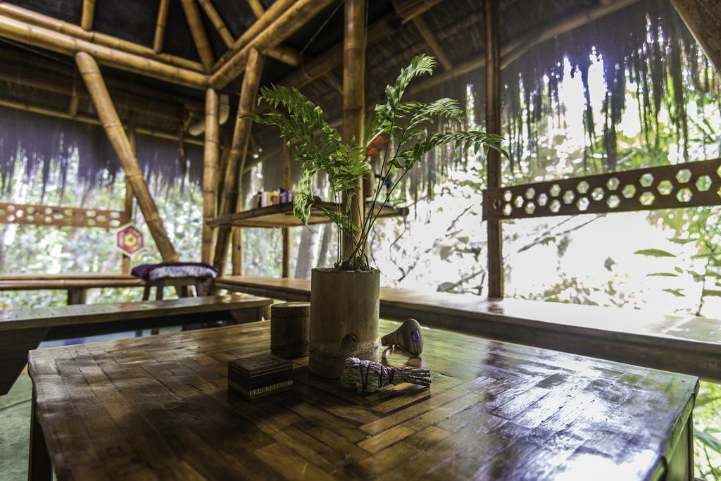 Universo Pol Bamboo Hostel モロ・デ・サンパウロ エクステリア 写真