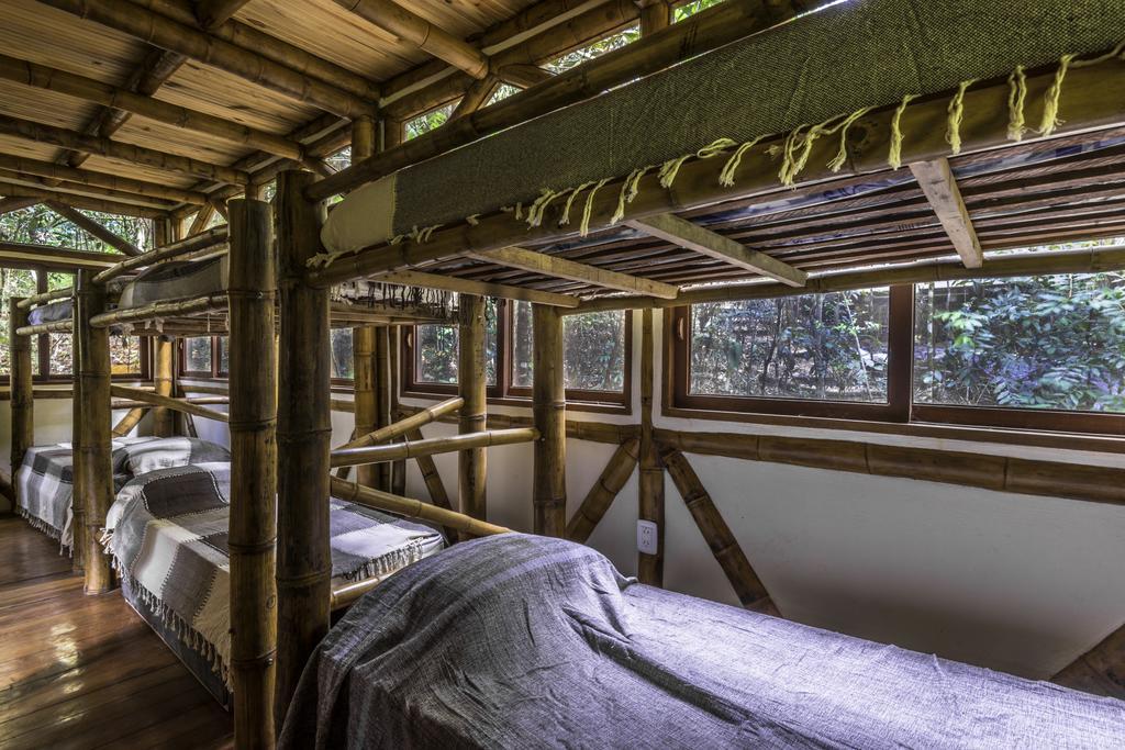 Universo Pol Bamboo Hostel モロ・デ・サンパウロ エクステリア 写真