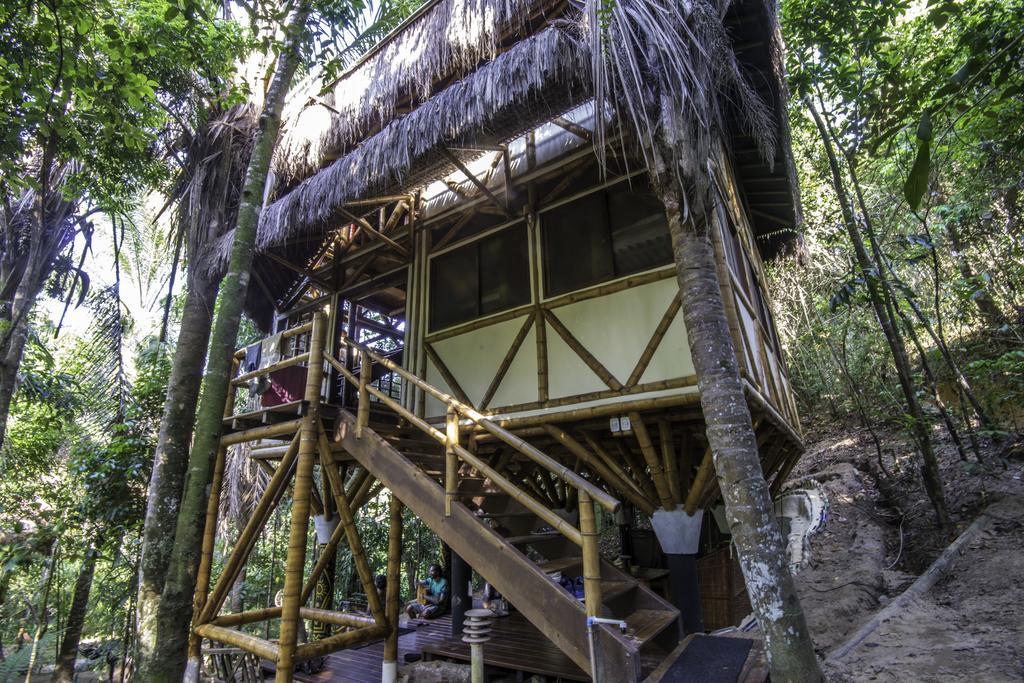 Universo Pol Bamboo Hostel モロ・デ・サンパウロ エクステリア 写真
