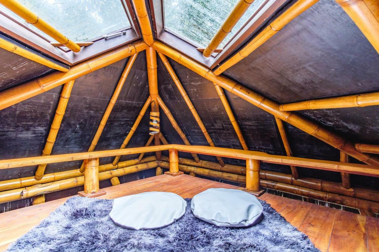 Universo Pol Bamboo Hostel モロ・デ・サンパウロ エクステリア 写真