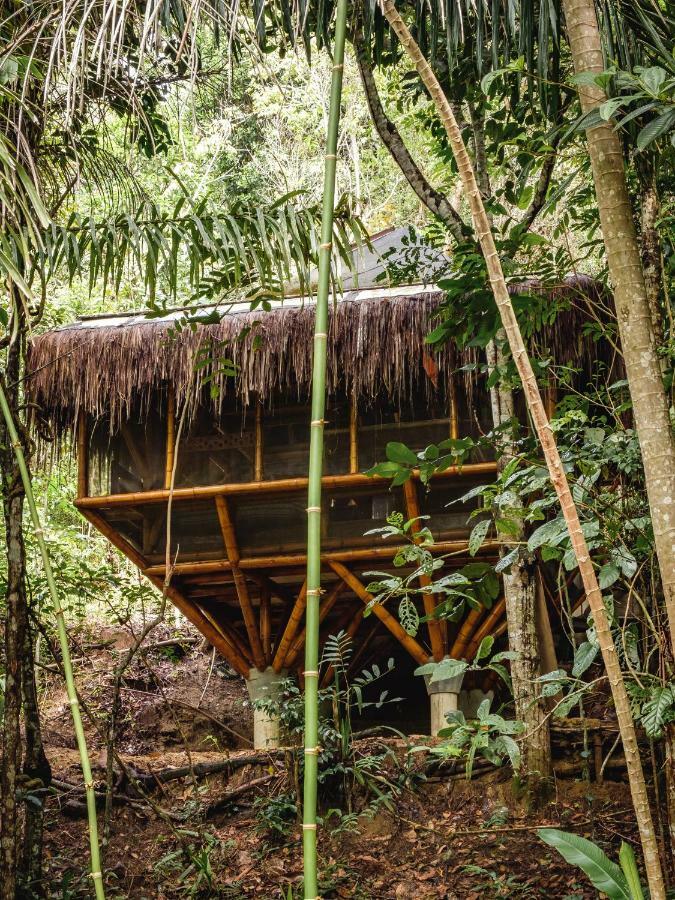Universo Pol Bamboo Hostel モロ・デ・サンパウロ エクステリア 写真