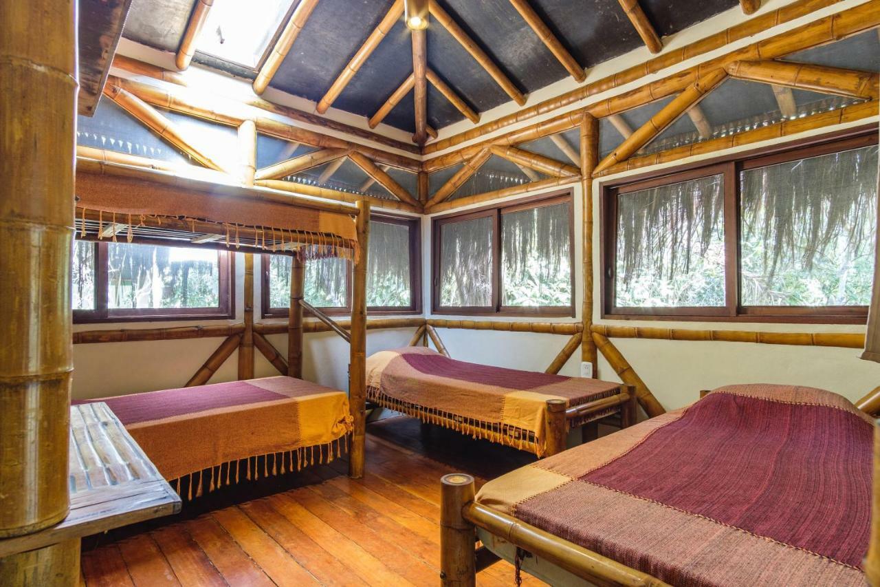 Universo Pol Bamboo Hostel モロ・デ・サンパウロ エクステリア 写真